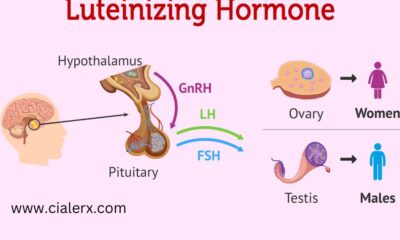 Luteinizing Hormone