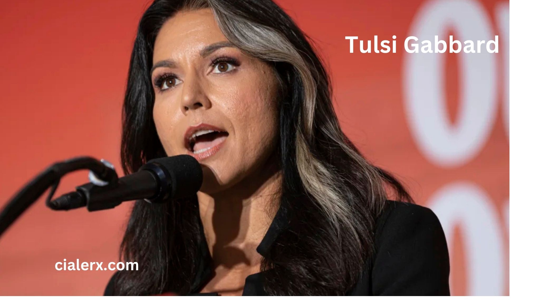 Tulsi Gabbard