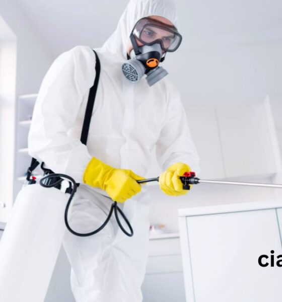 Homicide Cleanup