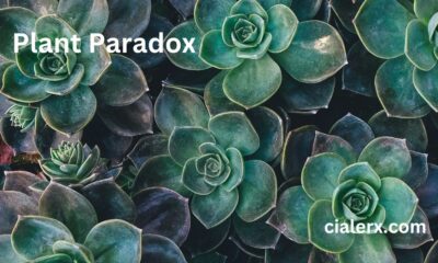 Plant Paradox