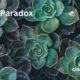 Plant Paradox