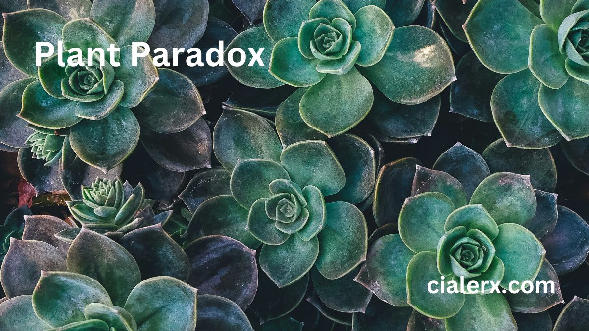 Plant Paradox