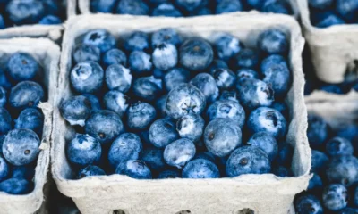 roven-benefits-of-blueberries-1296x728-feature