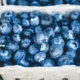 roven-benefits-of-blueberries-1296x728-feature