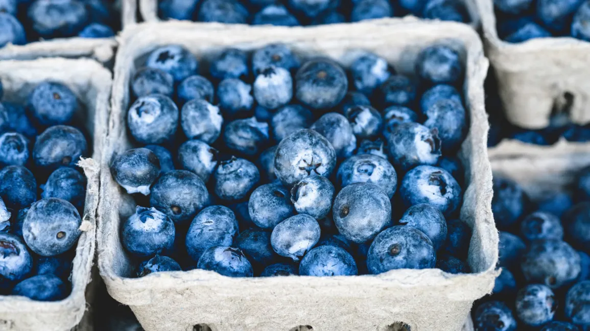 roven-benefits-of-blueberries-1296x728-feature