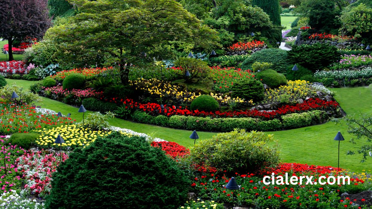 Manicured Gardens